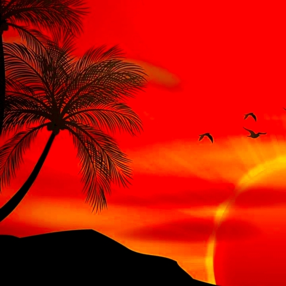 Meet your Posher, Derek - Picture 1 of 1